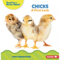 Chicks: A First Look - Paperback