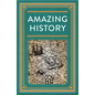 Amazing History - Hardcover