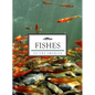 Fishes of the Smokies - Paperback