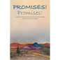 Promises! Promises!: A story of overcoming deception and tragedy through faith in Christ. - Paperback