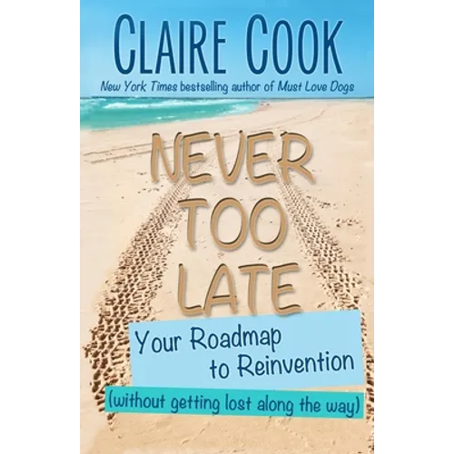 Never Too Late: Your Roadmap to Reinvention (without getting lost along the way) - Paperback