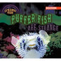 Puffer Fish Are Strange - Library Binding