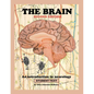 The Brain; Student text - Paperback