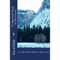 12 Spiritual Steps to Recovery - Paperback