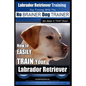 Labrador Retriever Training Dog Training with the No BRAINER Dog TRAINER We Make it THAT Easy!: How To EASILY TRAIN Your Labrador Retriever - Paperback
