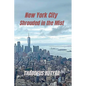 New York City Shrouded in the Mist - Paperback