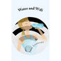 Water and Wifi: The Entrepreneurial Owner's Manual - Paperback