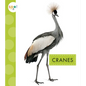 Cranes - Library Binding