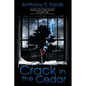 Crack in the Cedar - Paperback