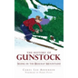 The History of Gunstock: Skiing in the Belknap Mountains - Hardcover