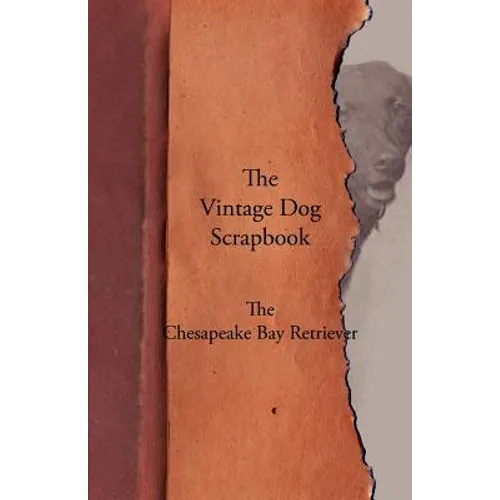The Vintage Dog Scrapbook - The Chesapeake Bay Retriever - Paperback