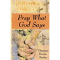 Pray What God Says - Paperback