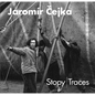 Jaromír Cejka: Traces - Hardcover