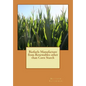 Biofuels Manufacture from Renewables other than Corn Starch - Paperback
