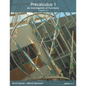 Precalculus 1: An Investigation of Functions (Chp 1-4) - Paperback