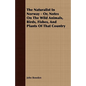 The Naturalist In Norway - Or, Notes On The Wild Animals, Birds, Fishes, And Plants Of That Country - Paperback