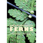 A Natural History of Ferns - Paperback