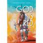God Is Red: A Native View of Religion - Paperback