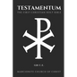 The Testamentum: The First Christian Holy Bible - Paperback