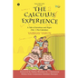 The Calculus Experience: A tale of Intuition and Rigor (Vol. 1 Pre-Calculus) - Paperback