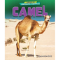 Camel - Library Binding