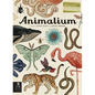 Animalium: Welcome to the Museum - Hardcover
