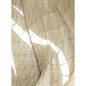 Embodied Light: The Bahá'í Temple of South America - Hardcover