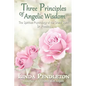 Three Principles of Angelic Wisdom: The Spiritual Psychology of the Grand Spirit, Dr. Peebles - Paperback