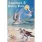 Seashore and Wading Birds of Florida - Paperback
