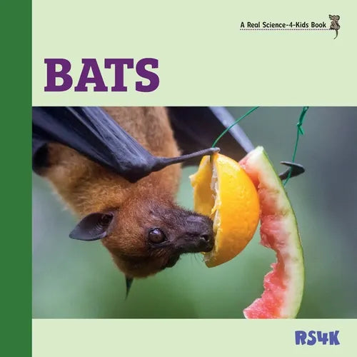 Bats - Paperback