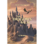 The Dragon's Back - Paperback