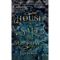 House of Salt and Sorrows - Library Binding