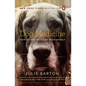 Dog Medicine: How My Dog Saved Me from Myself - Paperback