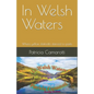 In Welsh Waters: Where yellow daffodils danced to poets - Paperback