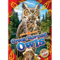 Great Horned Owls - Library Binding