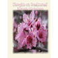 Thoughts on Traditional Korean Literature - Hardcover