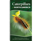 Caterpillars of North America: Easily Identify 90 Common Butterflies and Moths - Spiral