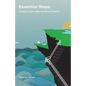 Essential Steps: Scoping Custom Web and Mobile Projects - Paperback