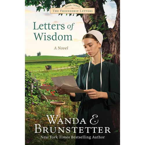 Letters of Wisdom: Friendship Letters #3 Volume 3 - Paperback
