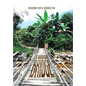 A Narrow Bridge: Awakening From Mental Illness - Hardcover