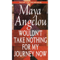Wouldn't Take Nothing for My Journey Now - Hardcover