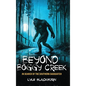 Beyond Boggy Creek: In Search of the Southern Sasquatch - Hardcover