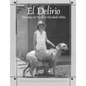El Delirio: The Santa Fe World of Elizabeth White - Paperback