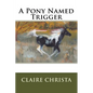 A Pony Named Trigger - Paperback