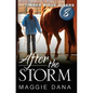 After the Storm - Paperback