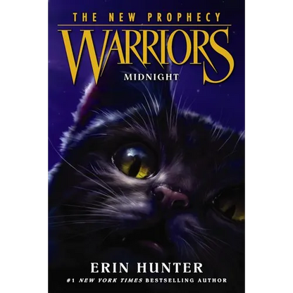 Midnight - Paperback