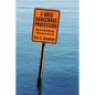A Most Dangerous Profession: Why the Pastoral Ministry Is Hazardous to Your Soul - Hardcover