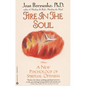 Fire in the Soul: A New Psychology of Spiritual Optimism - Paperback