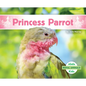 Princess Parrot - Library Binding