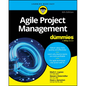 Agile Project Management for Dummies - Paperback